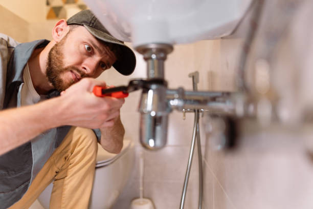 Best Local Plumber Services  in Kingsport, TN